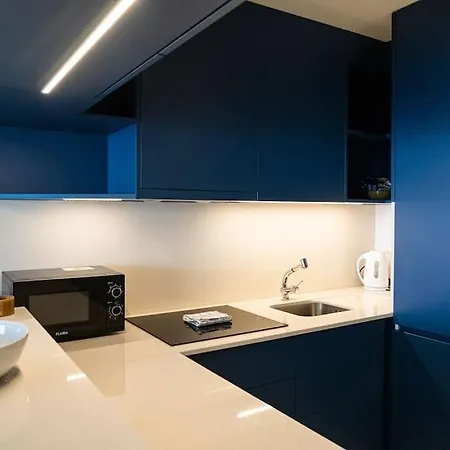 Climatise Avec Balcons