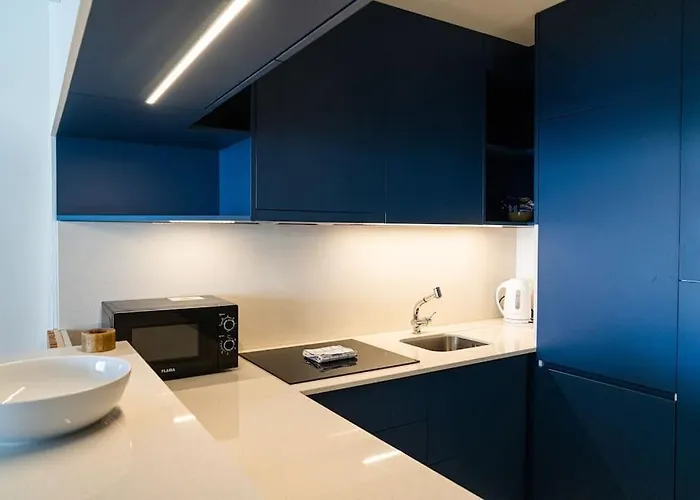 Climatisé Avec Balcons